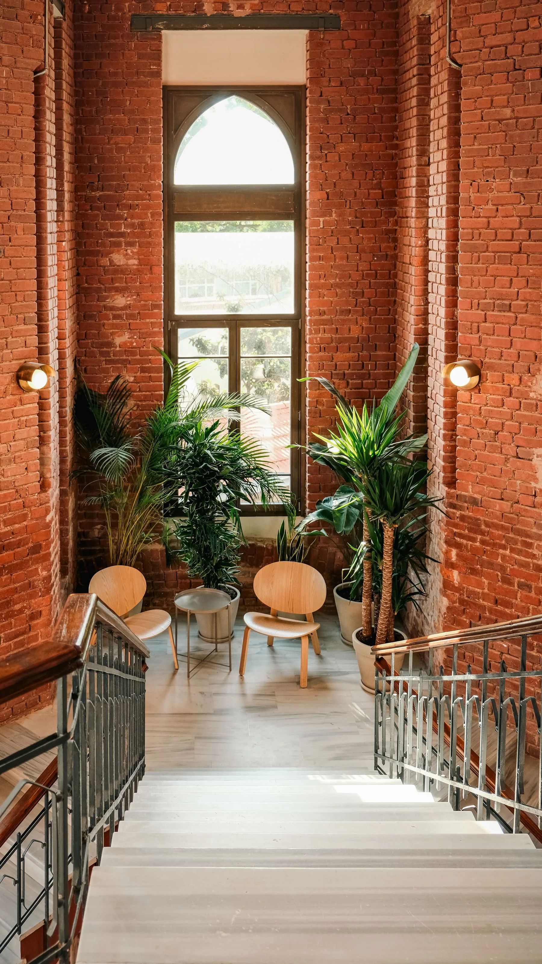Espacio de pausa con luz natural, vegetación y materiales cálidos
